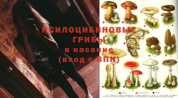 мдпв Михайловск